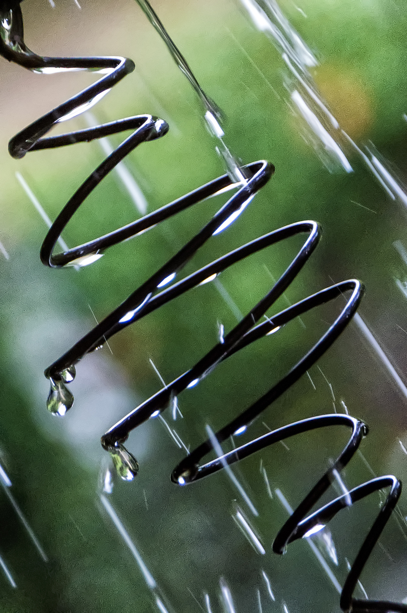 Sony DT 18-250mm F3.5-6.3 sample photo. Rain chain photography