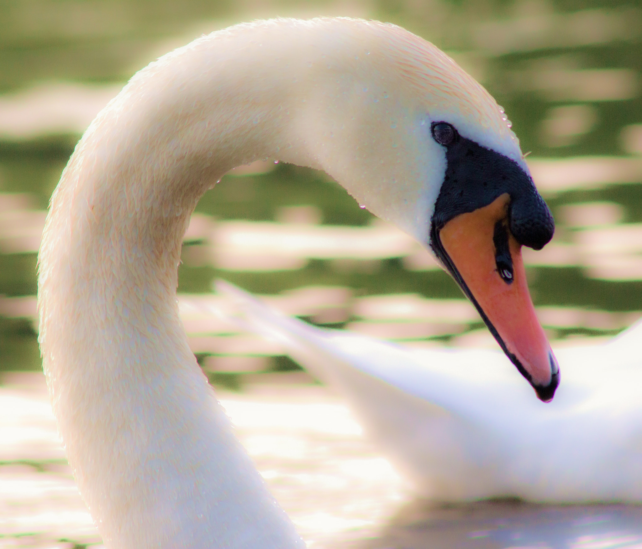 Canon EF 75-300mm F4.0-5.6 IS USM sample photo. 21787368695.jpg photography