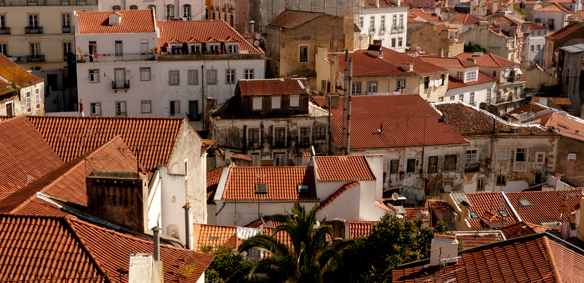 Panasonic Lumix DMC-GH1 sample photo. Red roofs photography