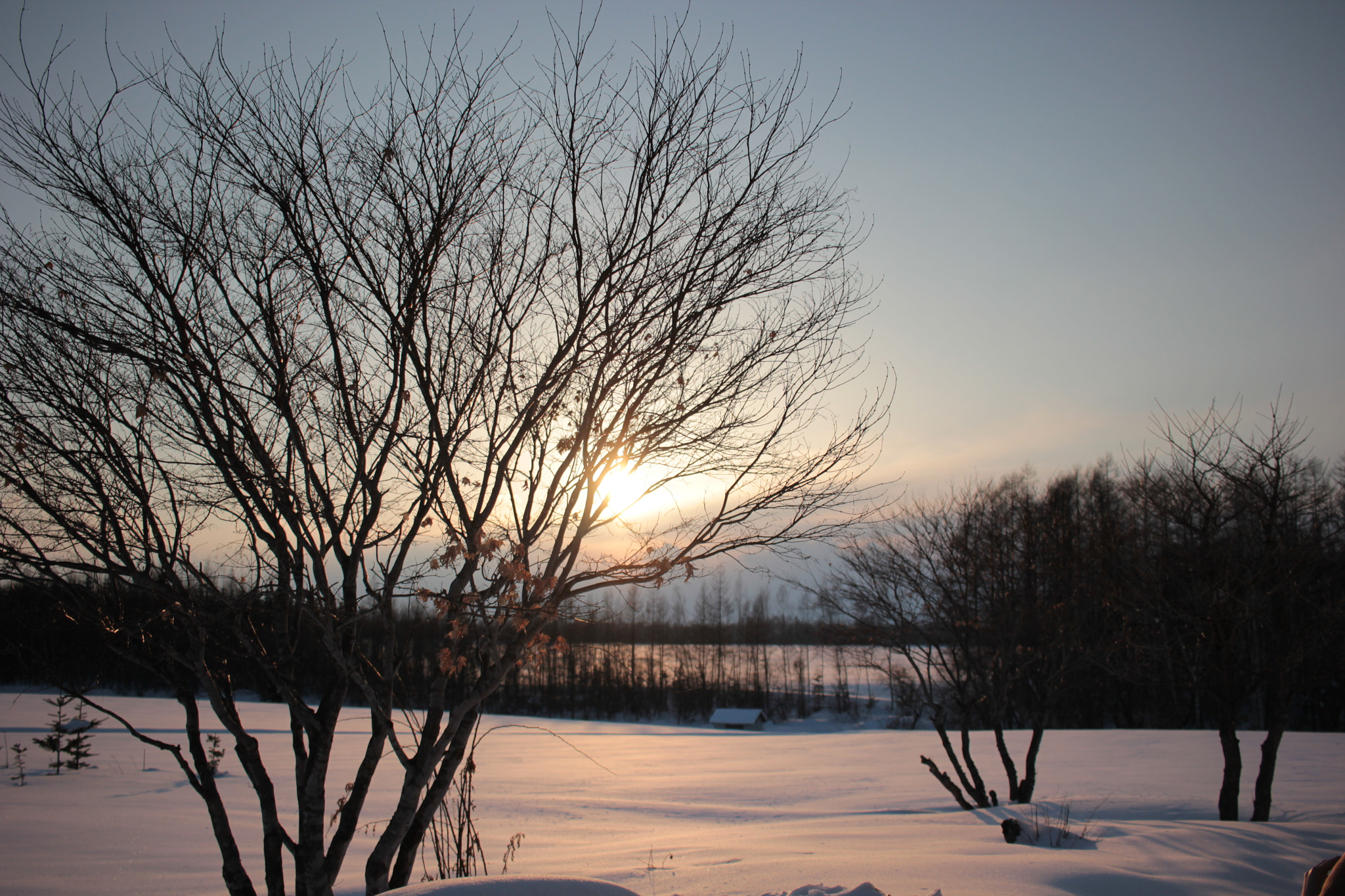Canon EOS 550D (EOS Rebel T2i / EOS Kiss X4) + Canon EF-S 24mm F2.8 STM sample photo. Snowfield in tokachi photography