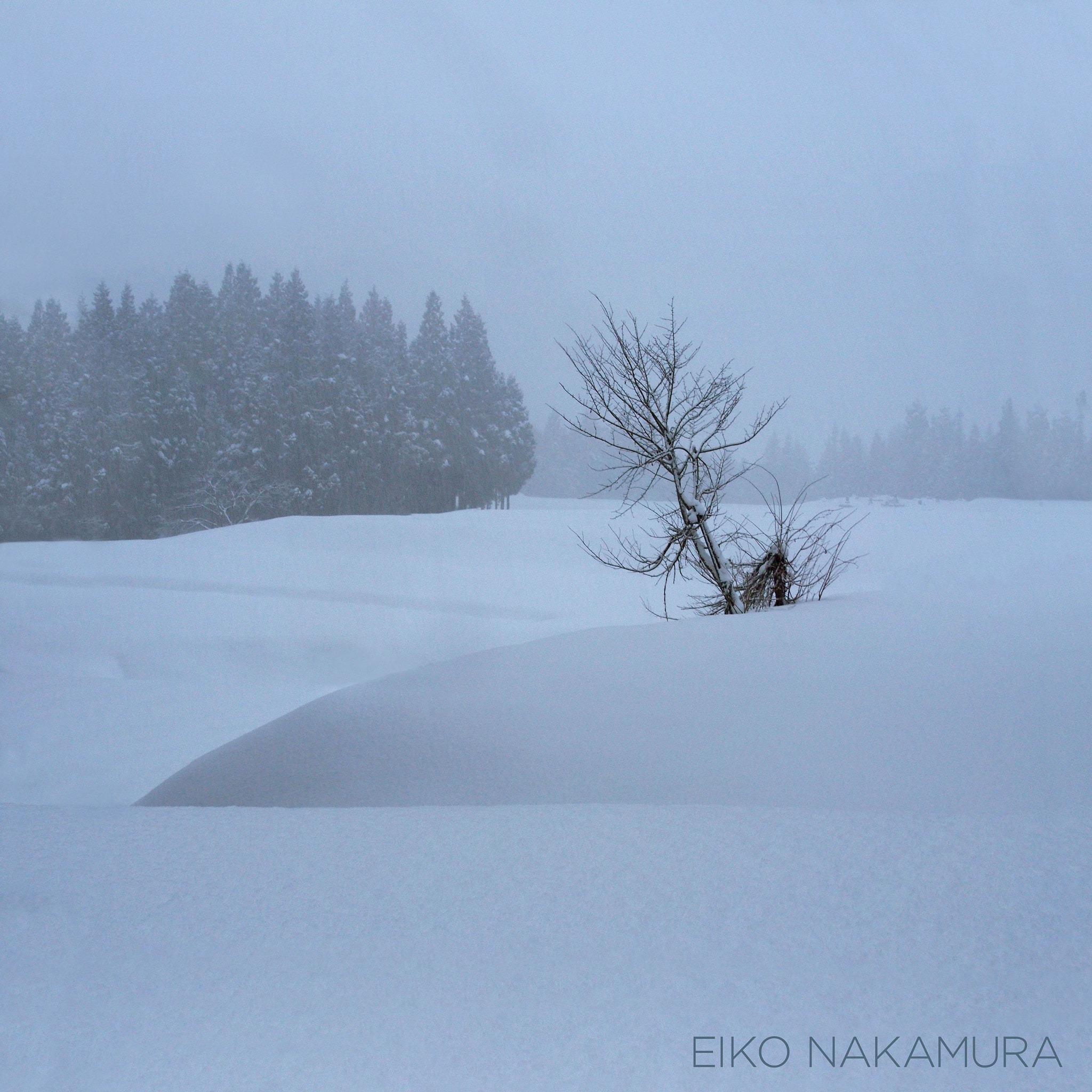 Olympus PEN E-P5 sample photo. Winter pattern #1 photography