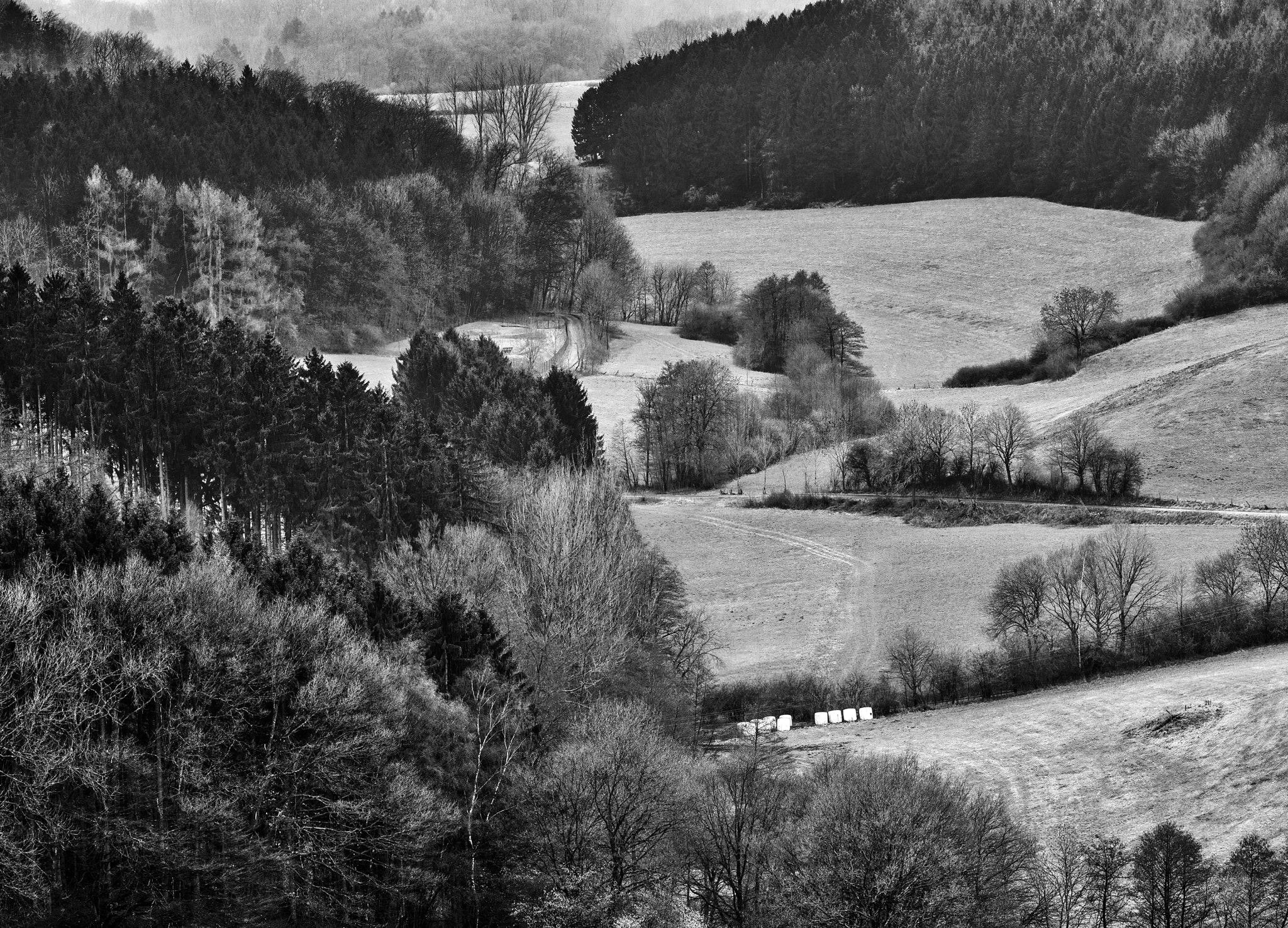 HC 210 sample photo. Westphalian landscape photography