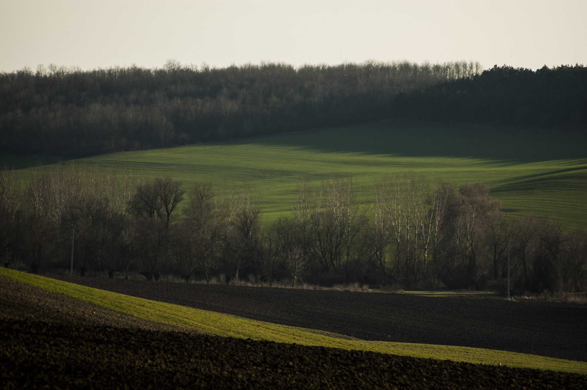 Nikon D70s sample photo. Nature photography
