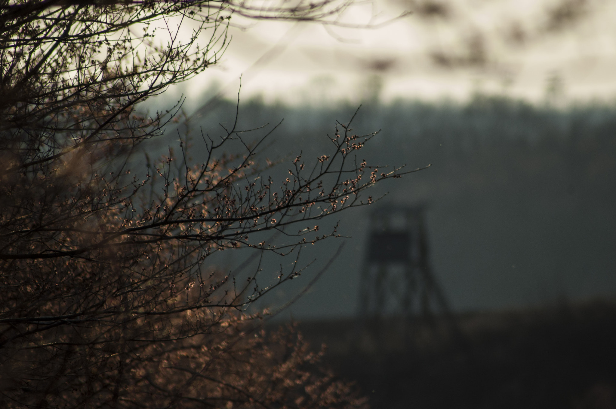 Nikon D70s sample photo. Nature photography
