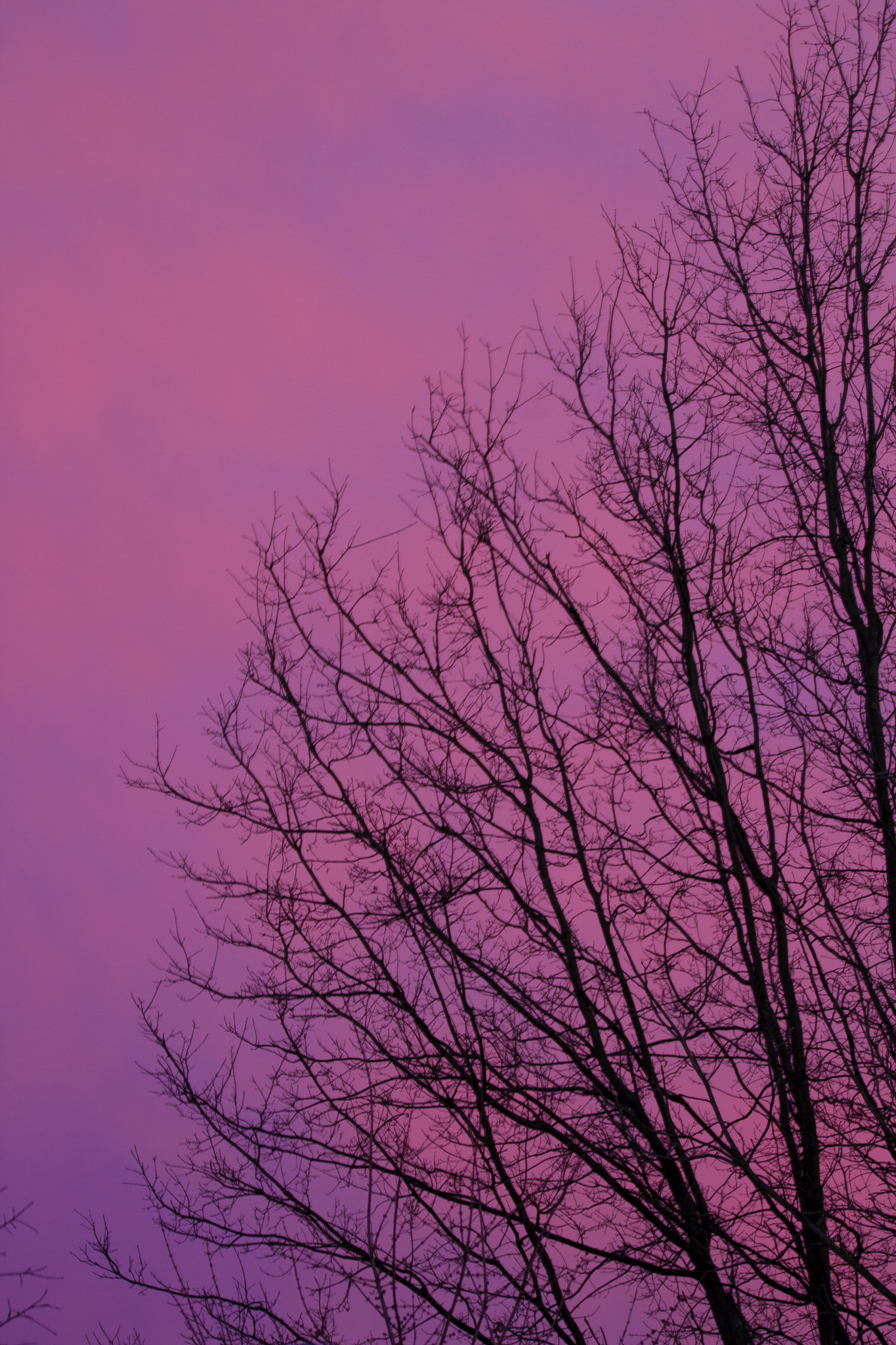Sigma 150-600mm F5-6.3 DG OS HSM | C sample photo. Promise of spring photography