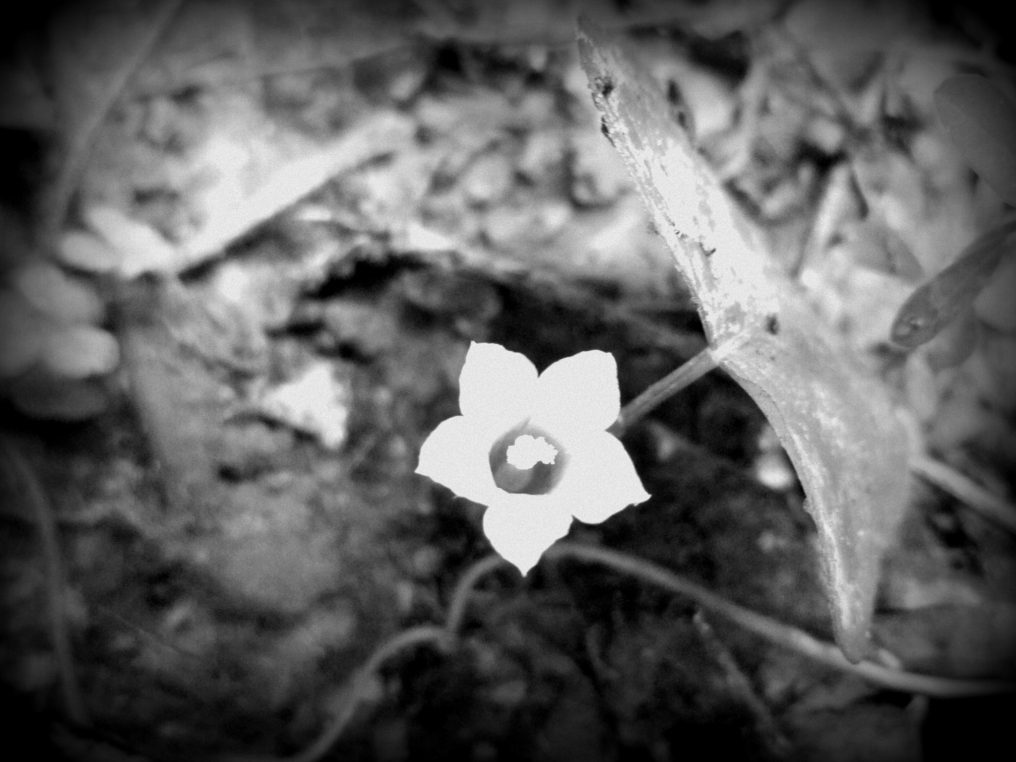 Sony DSC-S5000 sample photo. Dark breaker photography