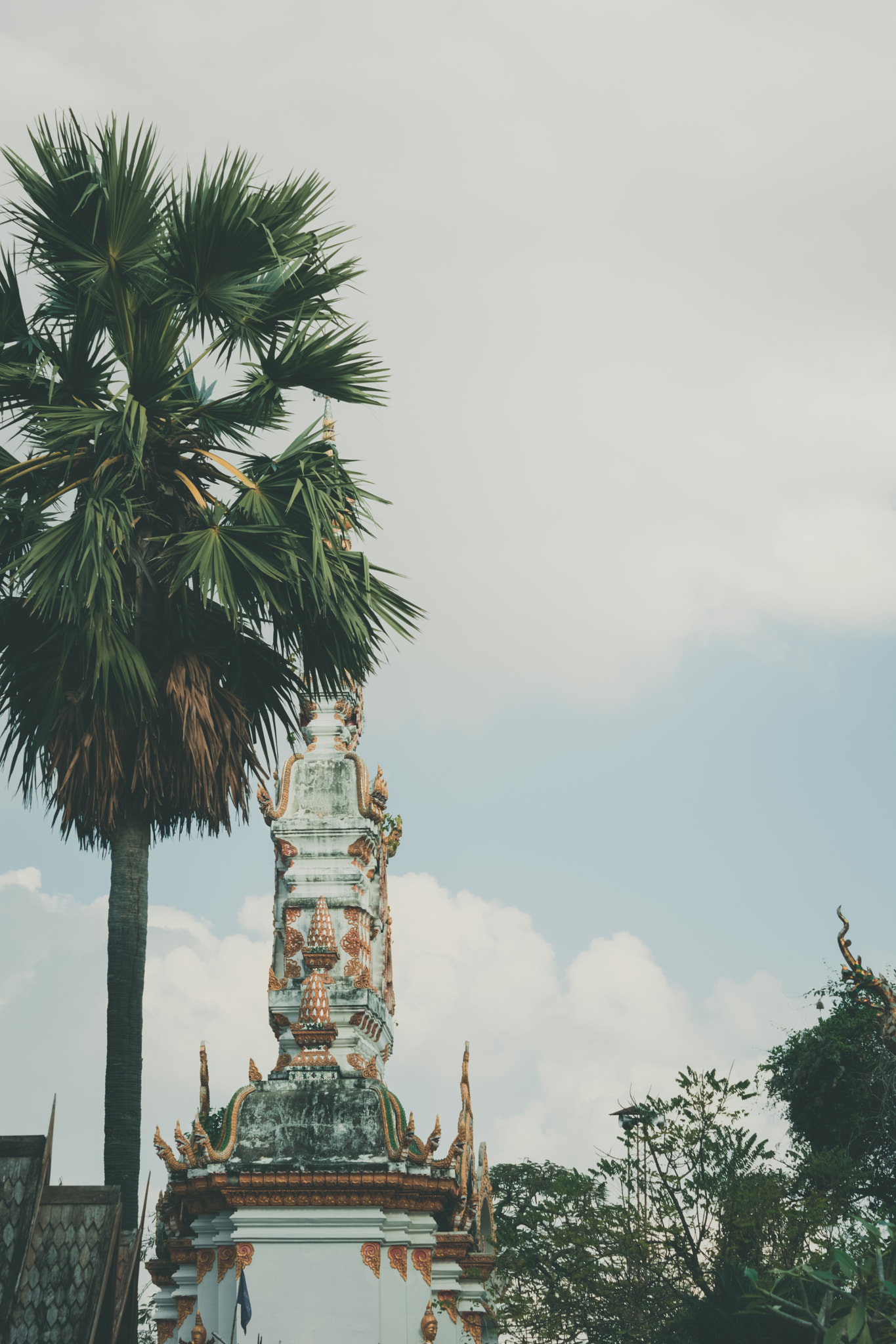Nikon AF-S Micro-Nikkor 60mm F2.8G ED sample photo. Old buddhist temple in phayao photography