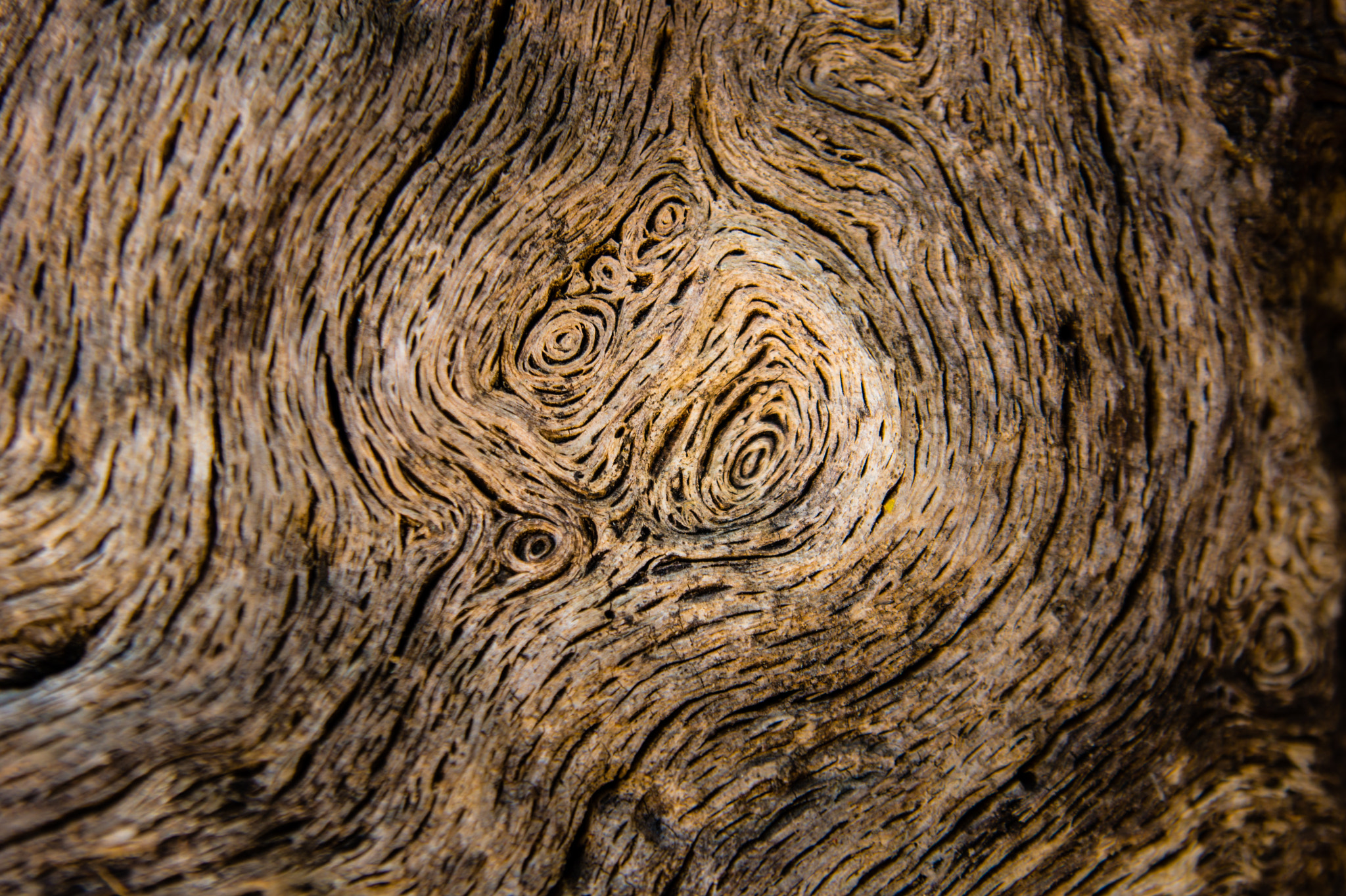 Sony SLT-A77 + 24-70mm F2.8 sample photo. The scream photography