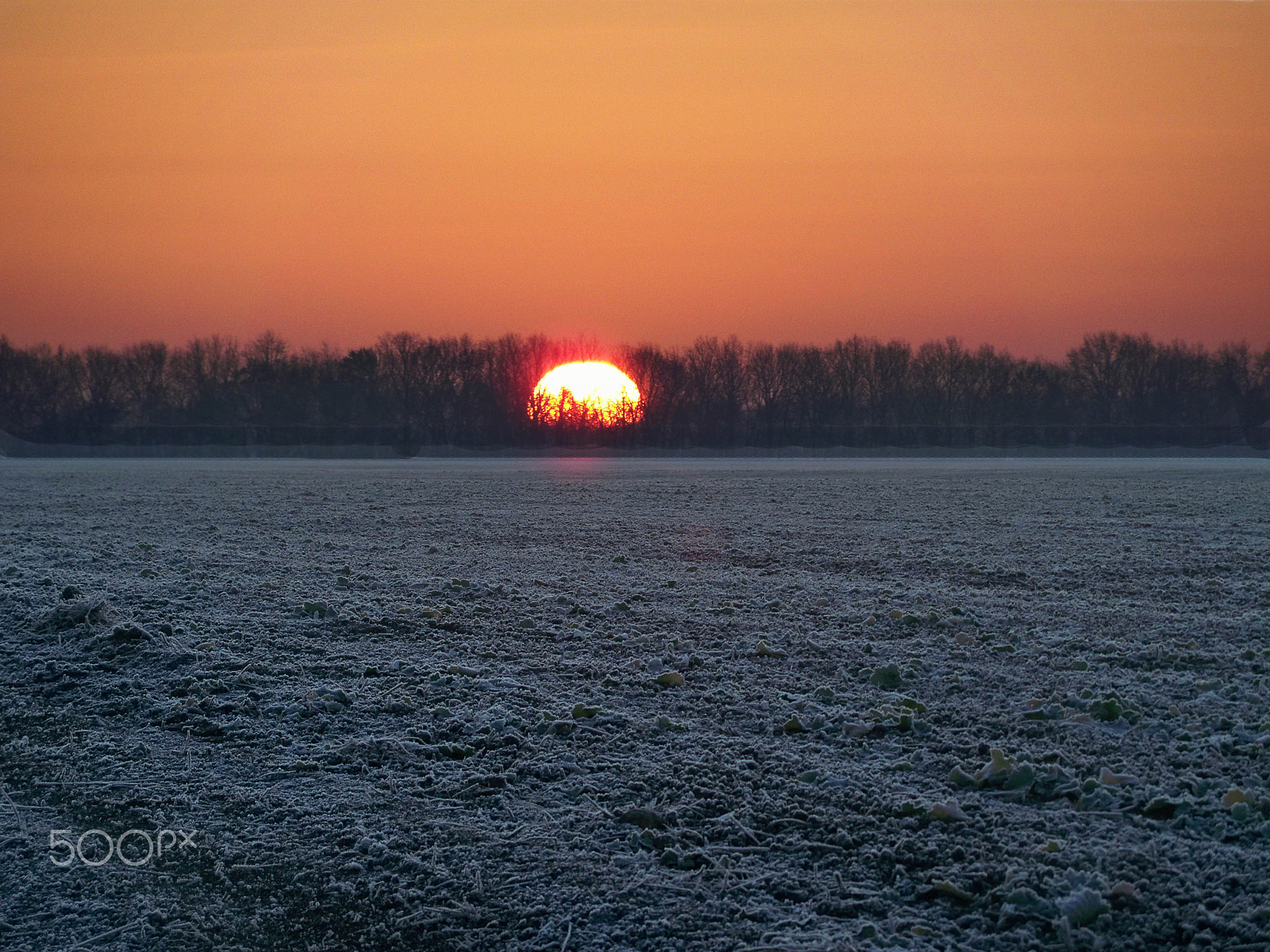 Kodak EASYSHARE Z950 DIGITAL CAMERA sample photo. The beautiful sun photography