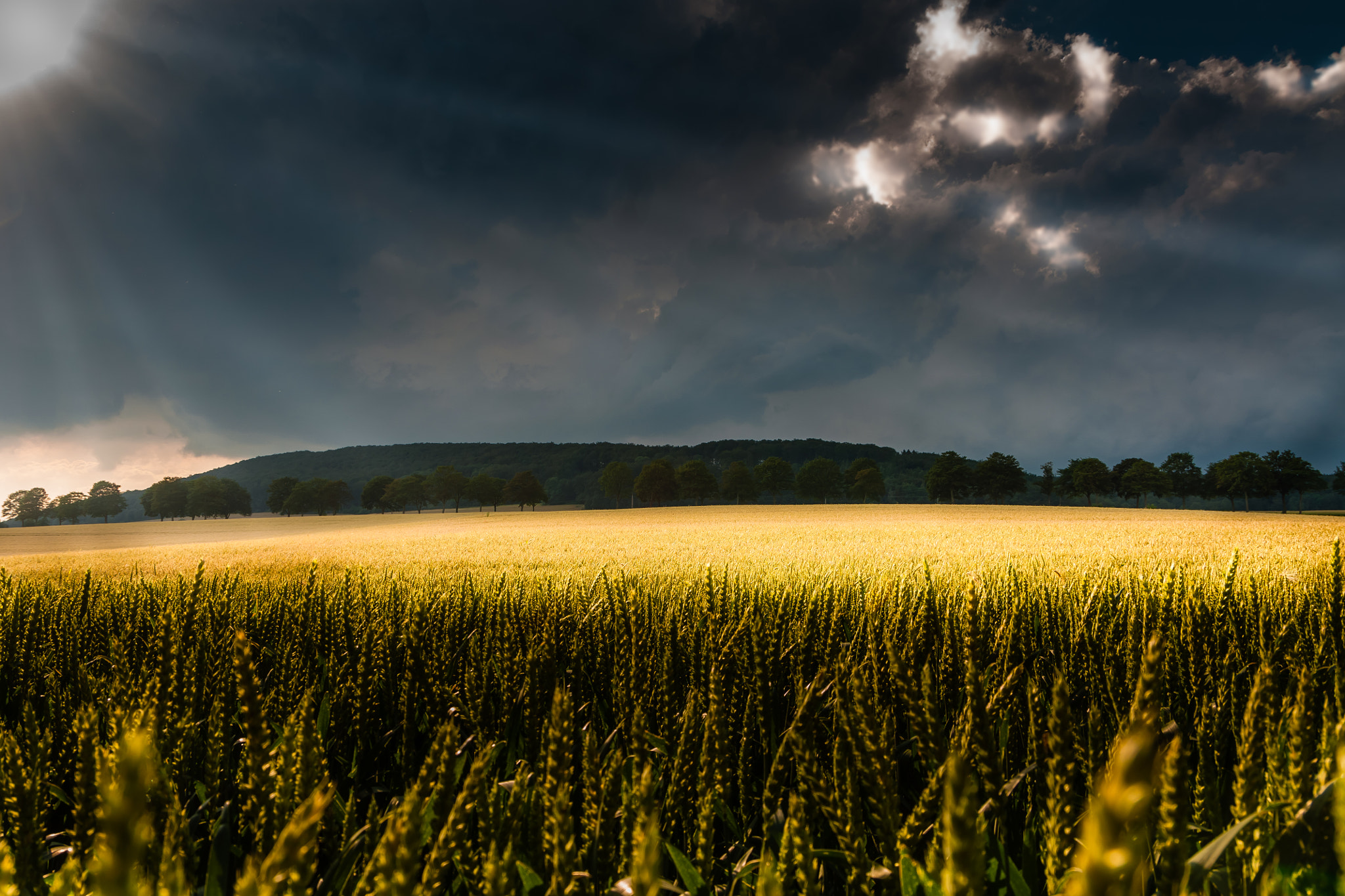 Sony Alpha DSLR-A700 + Tamron AF 28-105mm F4-5.6 [IF] sample photo. After the rain 2 photography