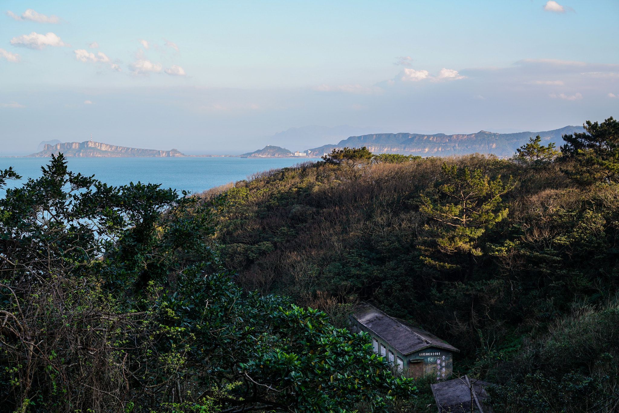 E 50mm F2 sample photo. Bda o photography