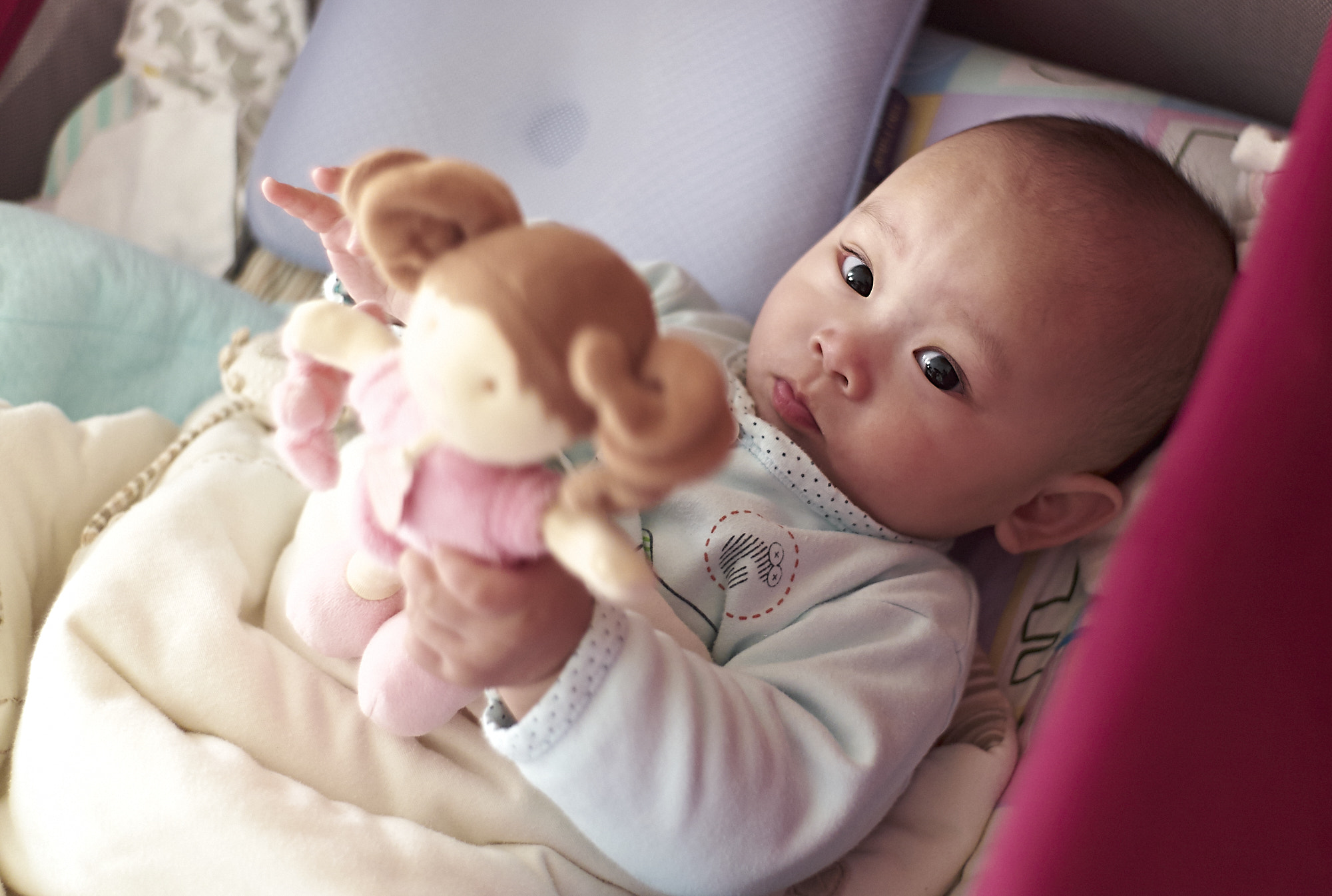 Summicron-M 35mm f/2 (IV) sample photo. Untitled photography