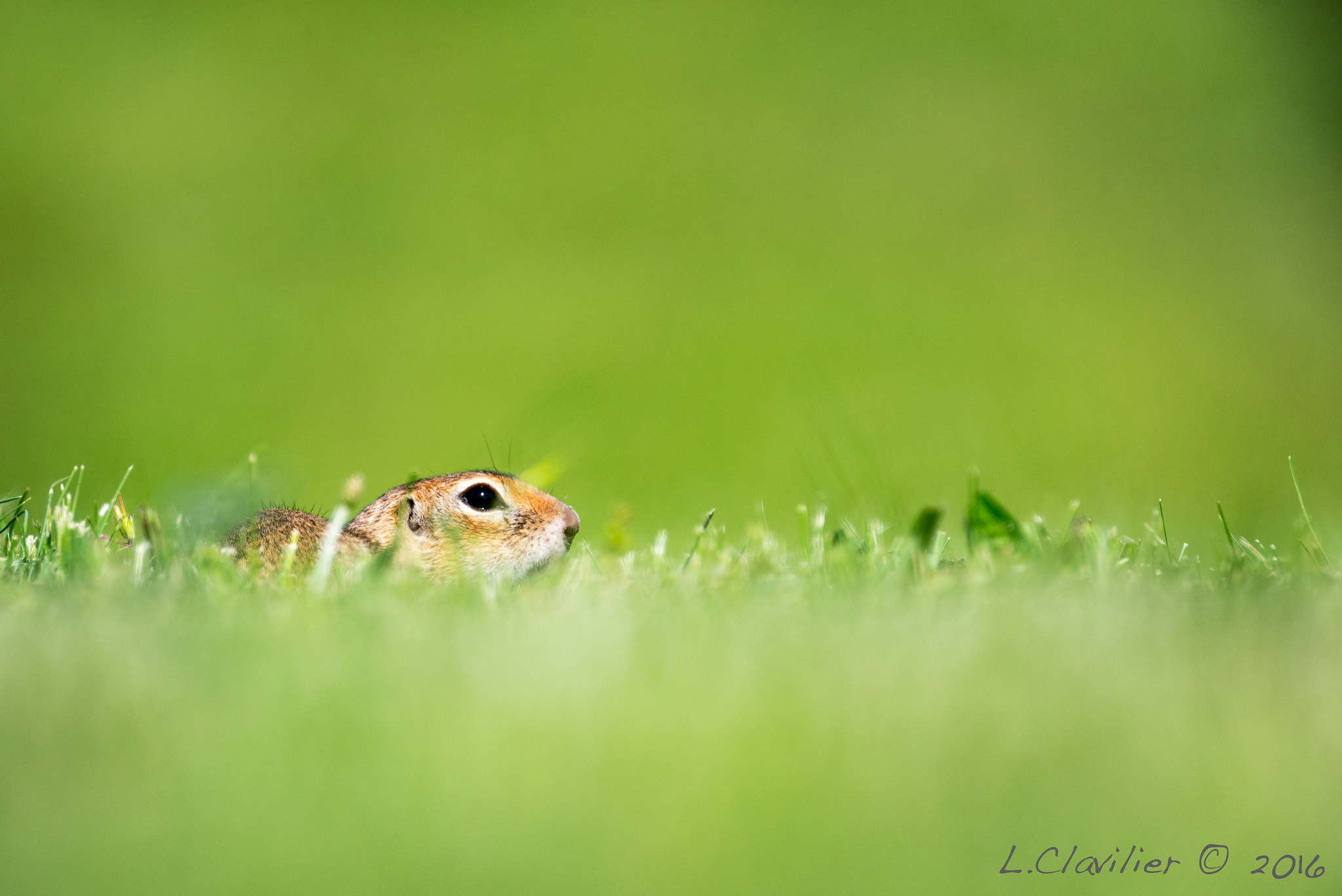 Nikon D600 sample photo. Who's here ? photography