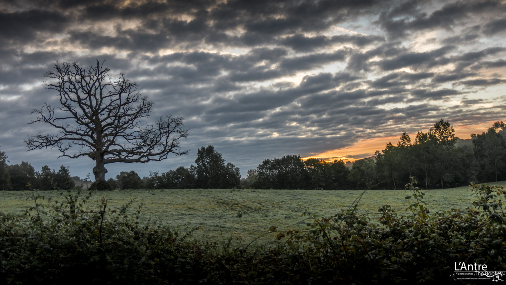 Pentax smc DA 17-70mm F4.0 AL (IF) SDM sample photo. L'arbre mort photography
