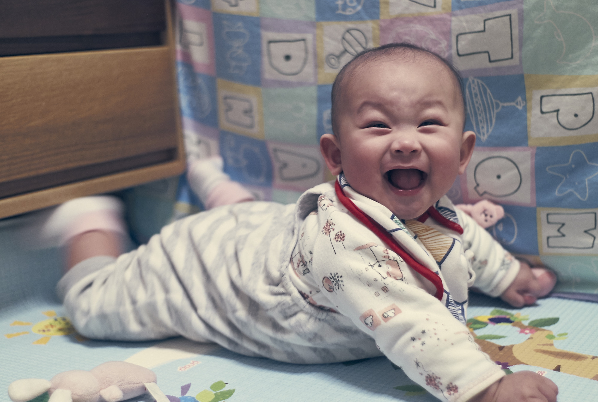 Summicron-M 35mm f/2 (IV) sample photo. 8months photography