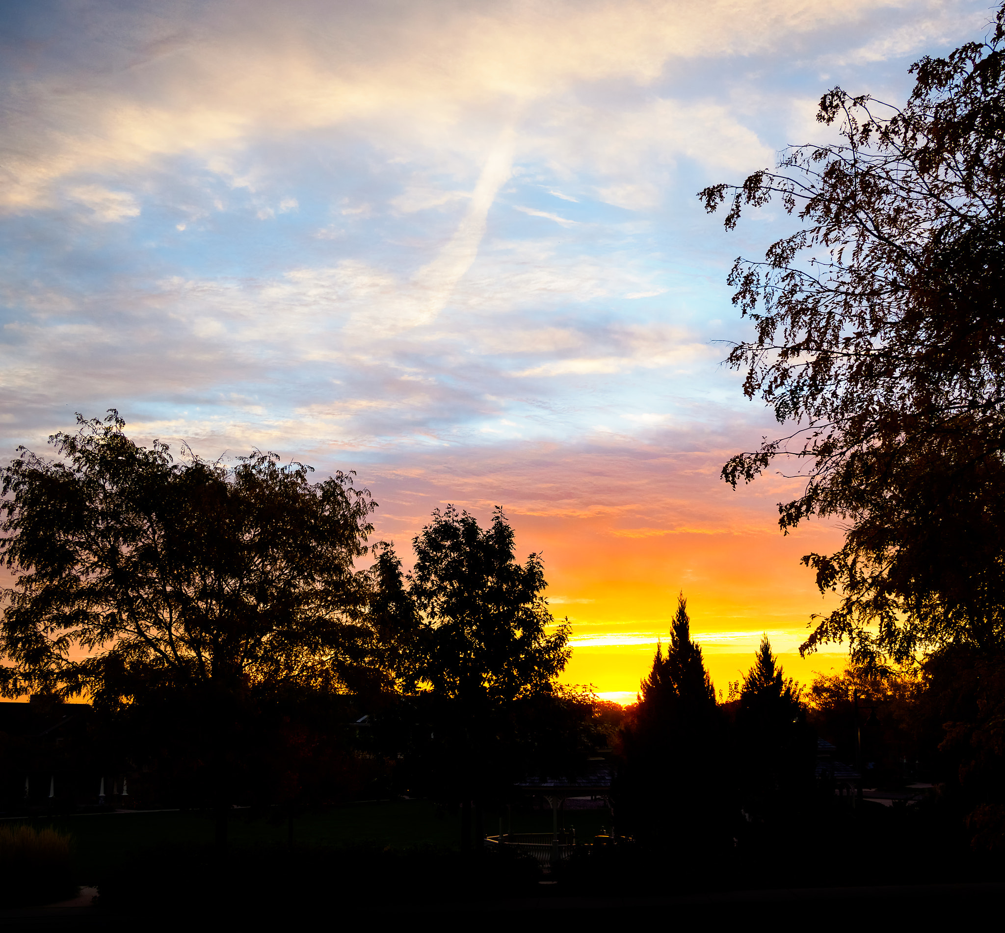 Olympus OM-D E-M5 II + Panasonic Lumix G 20mm F1.7 ASPH sample photo. Morning from my front porch photography