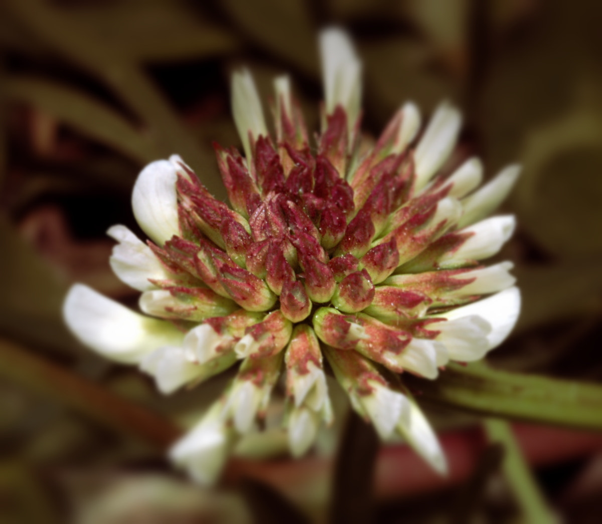 AF Zoom-Nikkor 35-70mm f/3.3-4.5 N sample photo. # photography