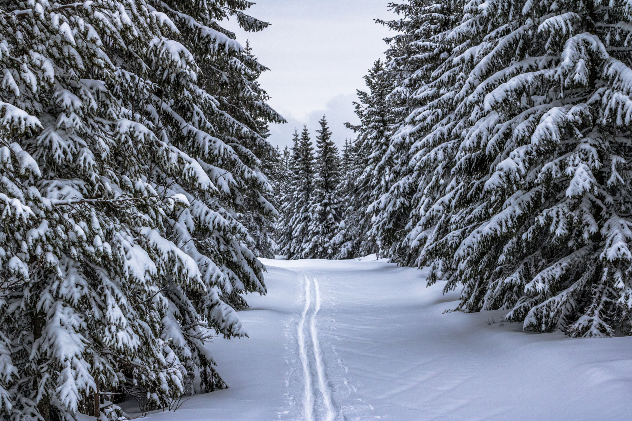 Canon EF 55-200mm F4.5-5.6 II USM sample photo. Swedish highway photography