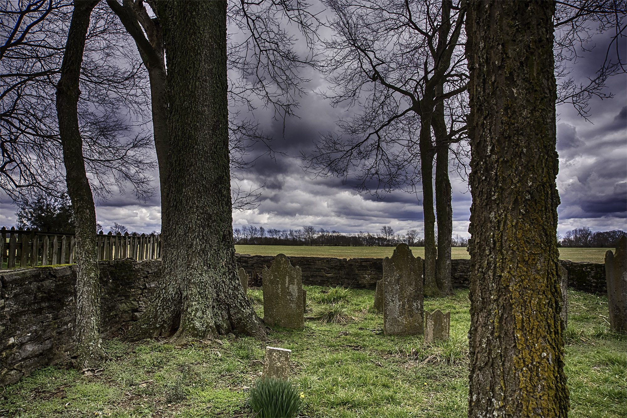 AF Zoom-Nikkor 24-120mm f/3.5-5.6D IF sample photo. Rippavilla cemetery photography