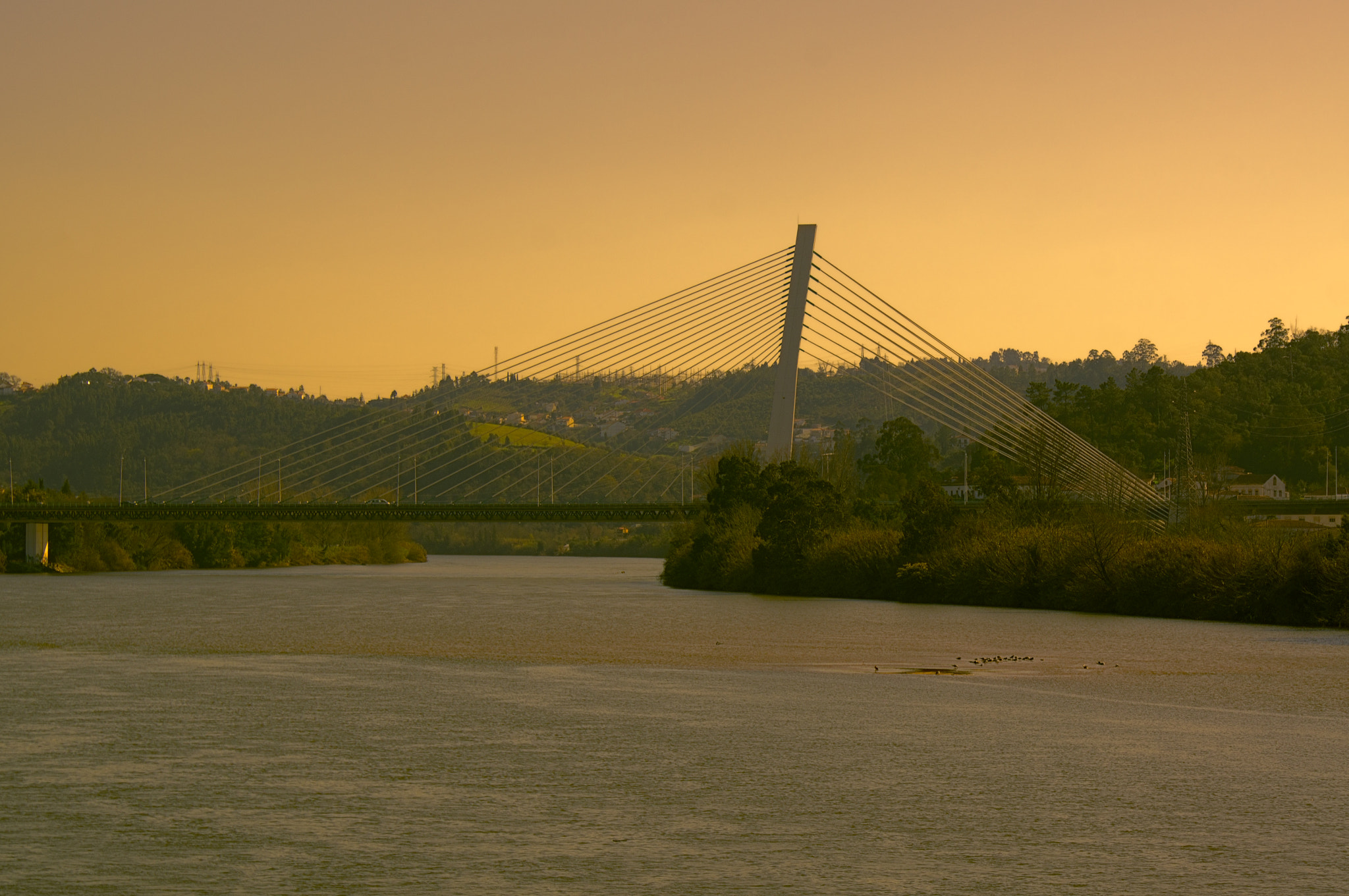Sony SLT-A55 (SLT-A55V) sample photo. Ponte rainha santa isabel photography