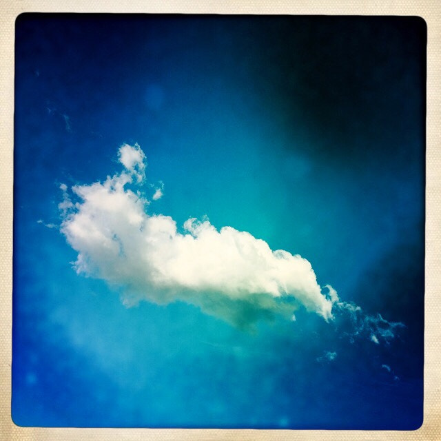 Hipstamatic 280 sample photo. Rabbit photography