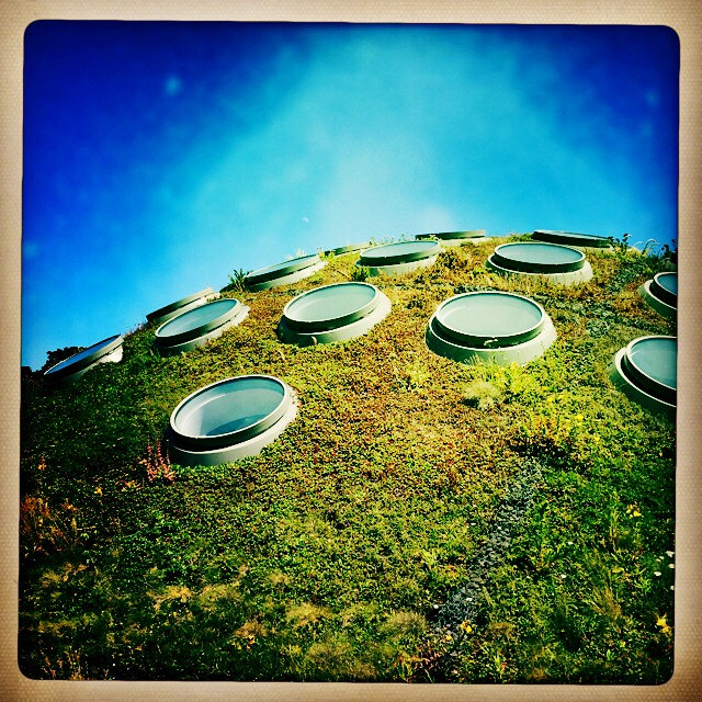 Hipstamatic 280 sample photo. On the roof photography