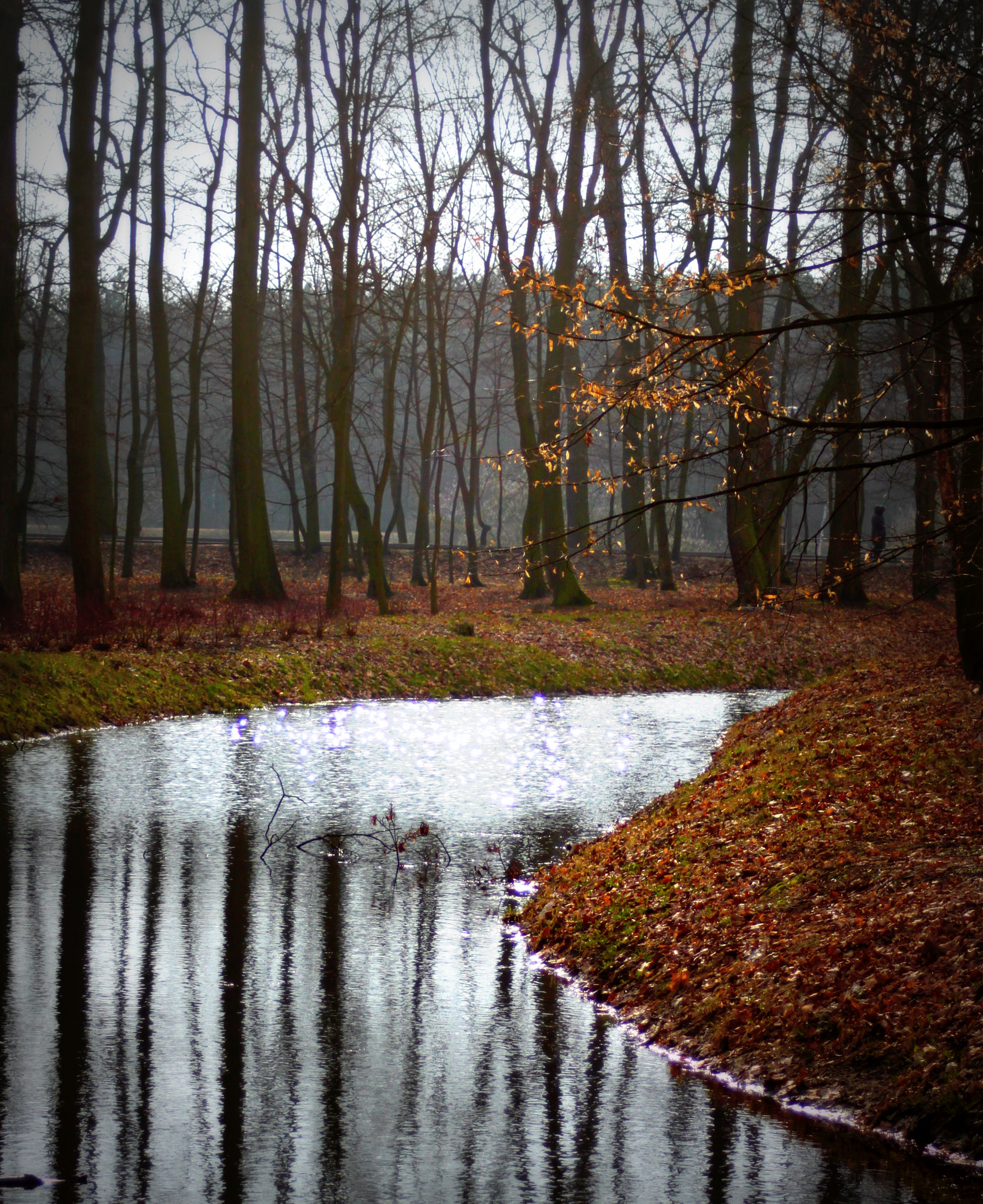 Canon EF 28-90mm f/4-5.6 sample photo. River..park photography