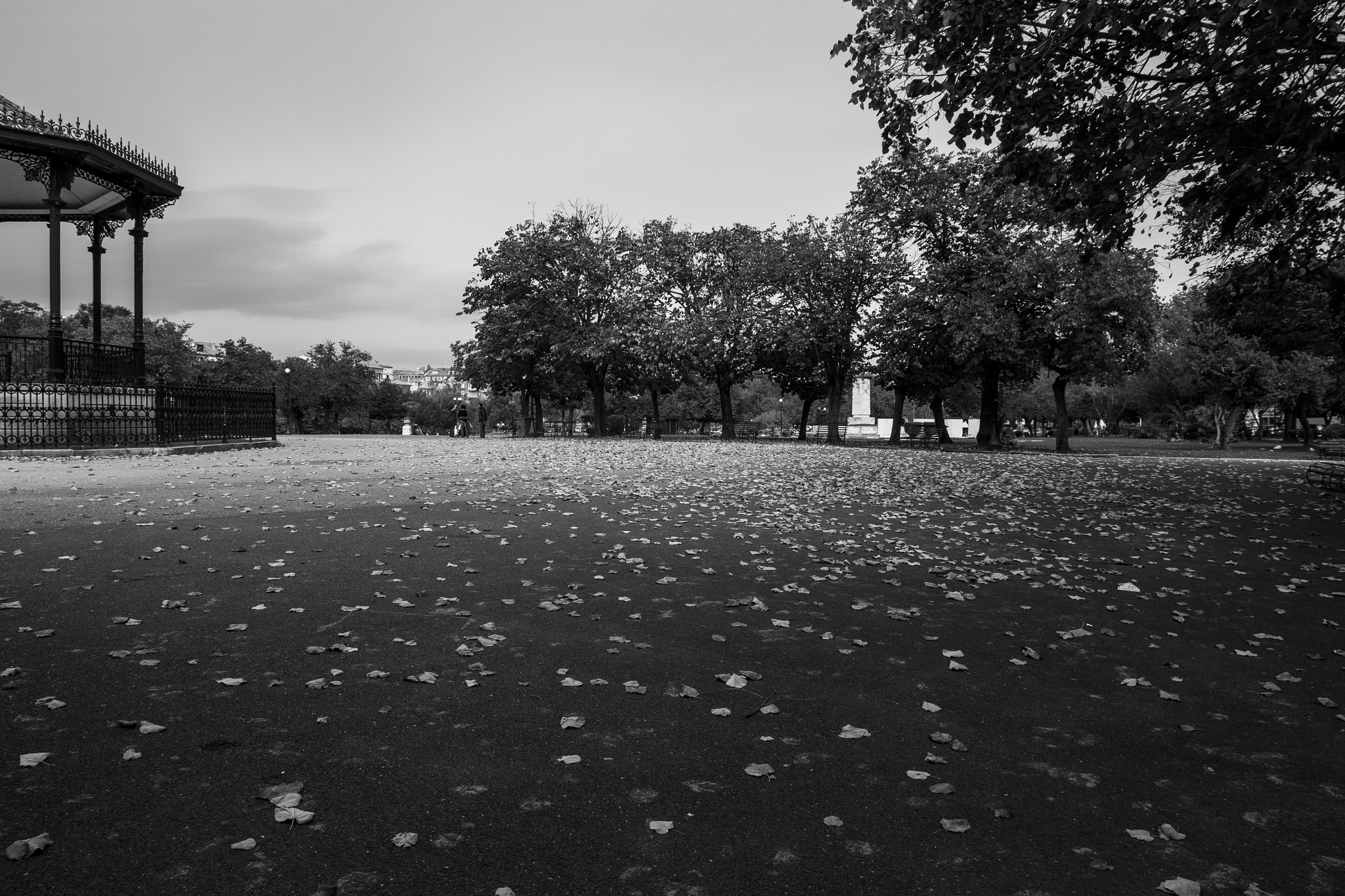 Nikon D3100 + Sigma 17-70mm F2.8-4 DC Macro OS HSM sample photo. Autumn in spianada photography