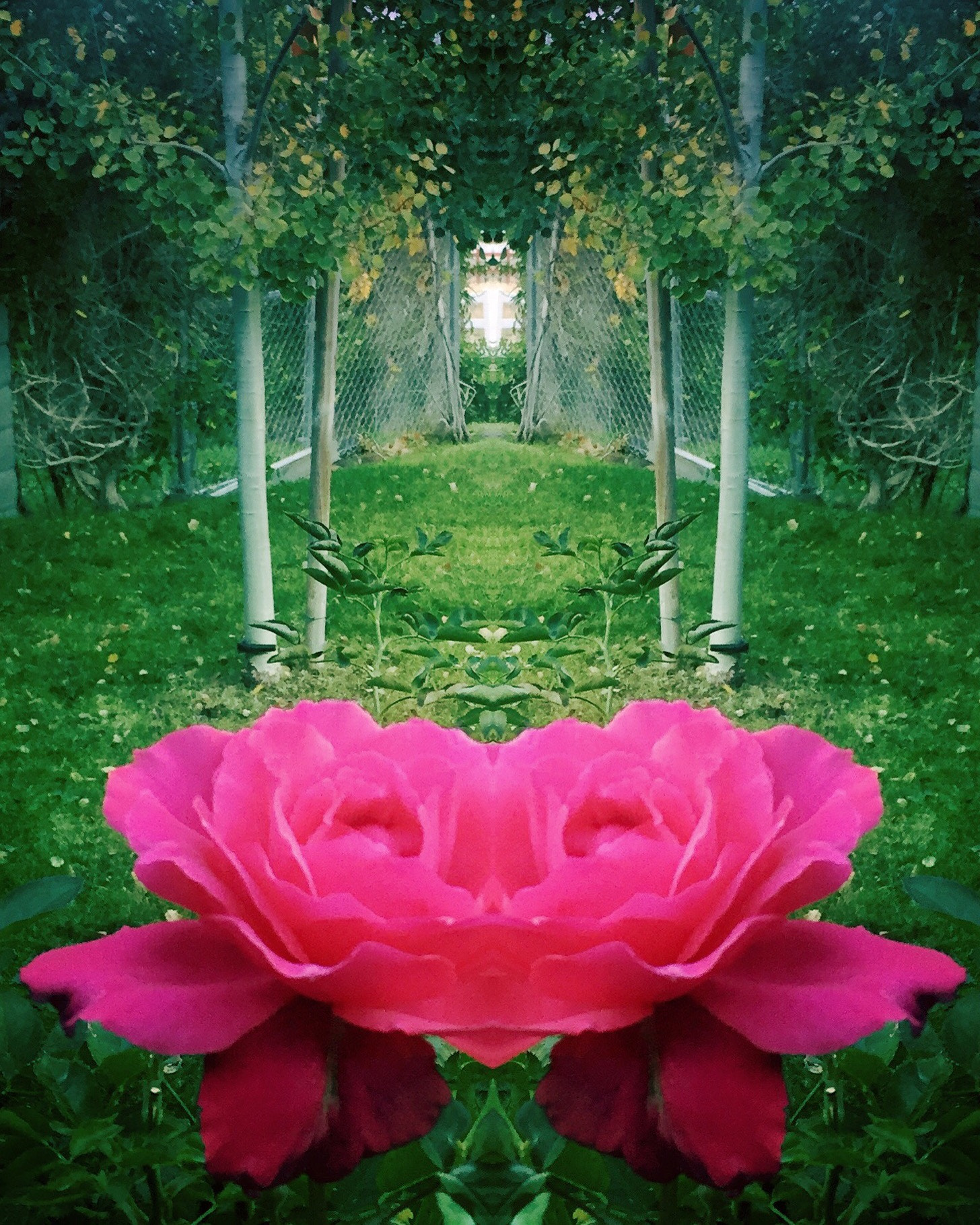 Hipstamatic 301 sample photo. Faerie gate photography