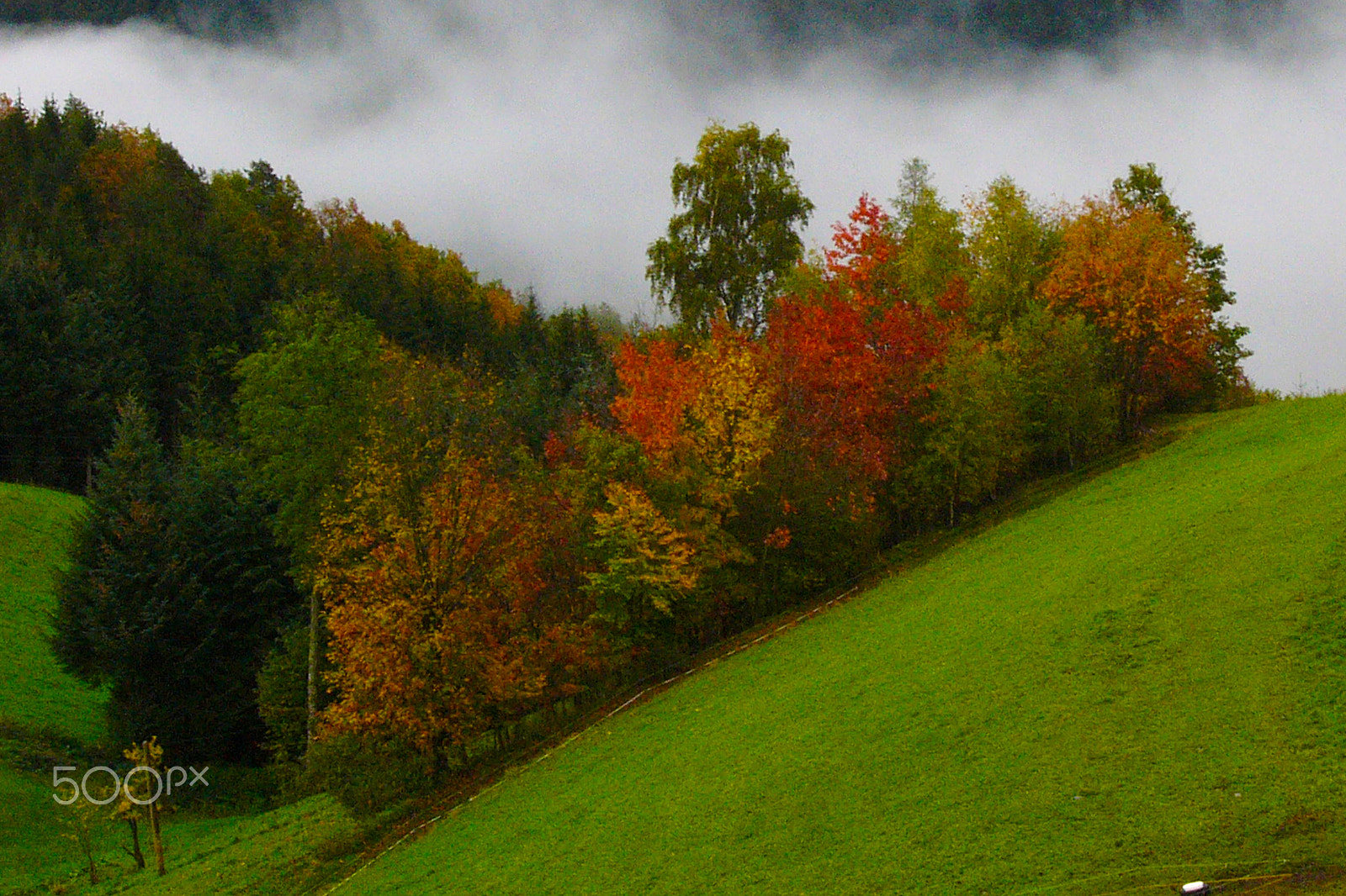 Panasonic DMC-FZ10 sample photo. Autumn photography