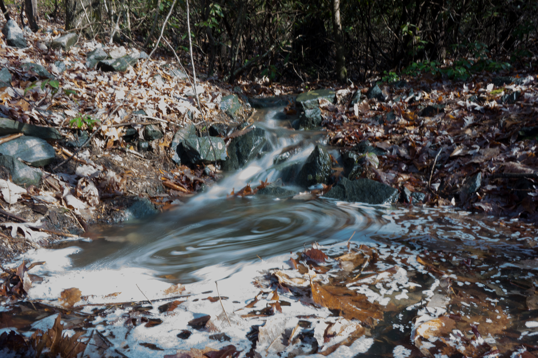 Sony Alpha NEX-7 + Sony E 20mm F2.8 sample photo. Feb north carolina photography