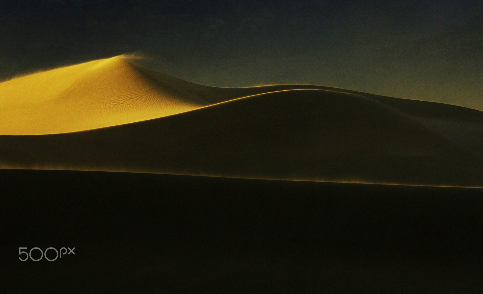 Nikon D2X sample photo. Symphony of light photography