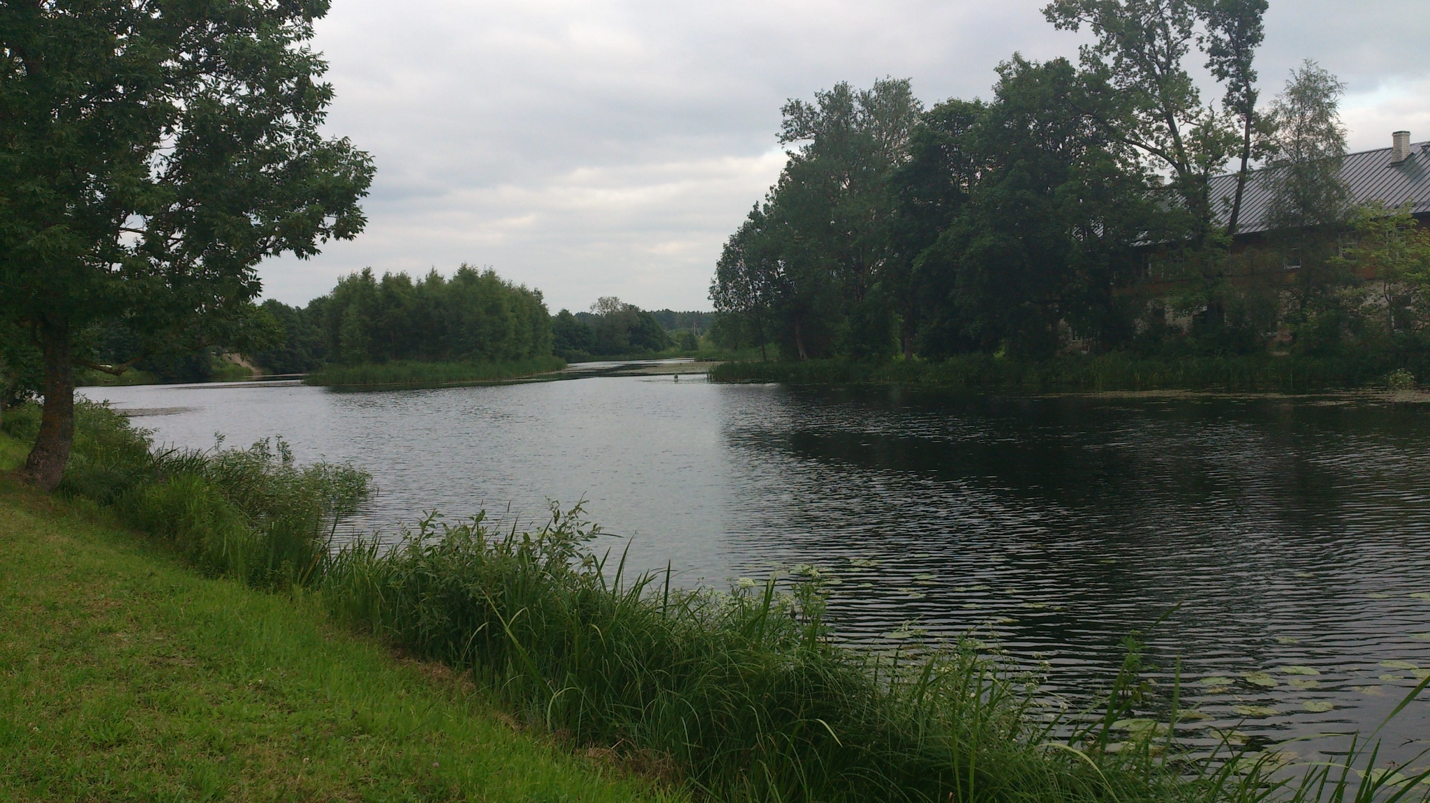 Sony Xperia V sample photo. 140.jpg photography