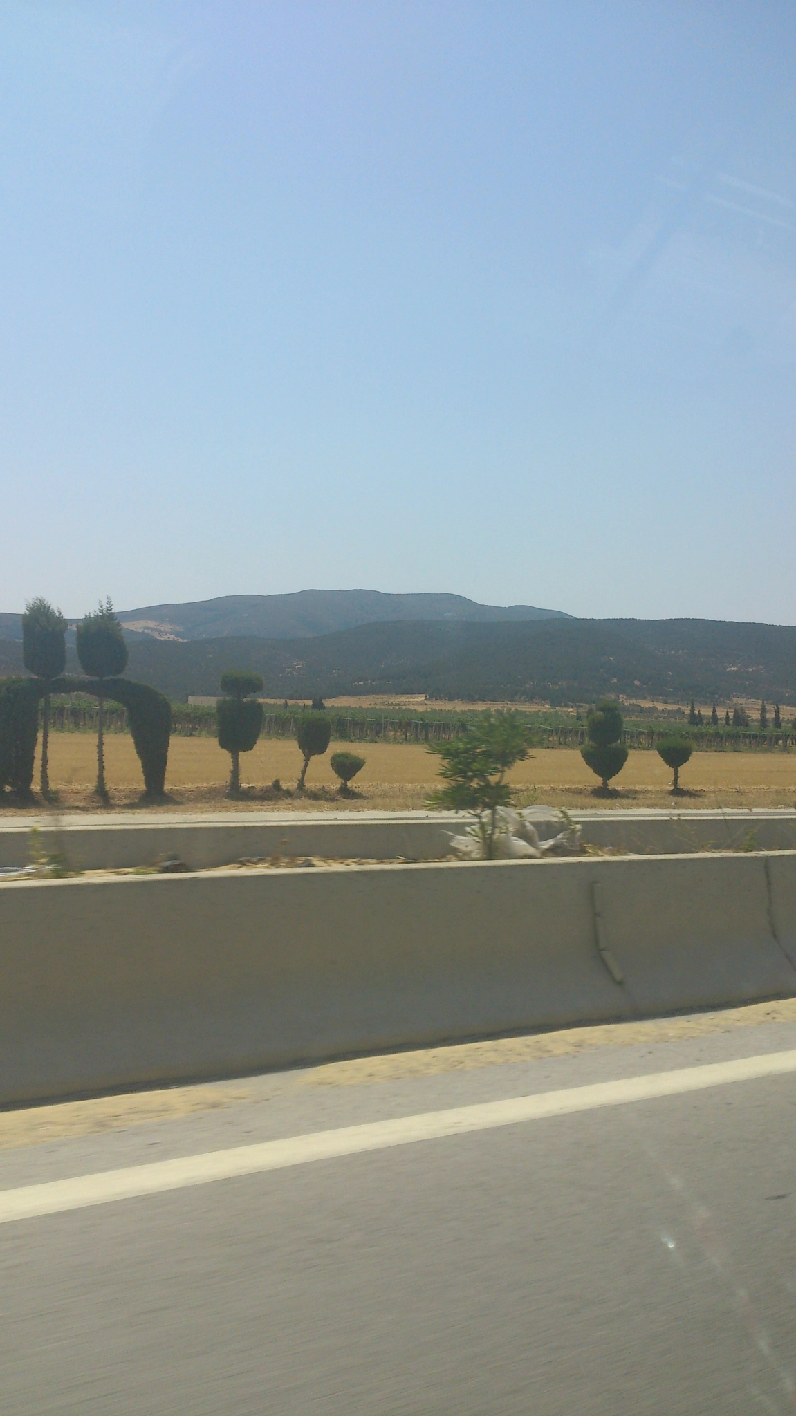 Sony Xperia V sample photo. 286.jpg photography