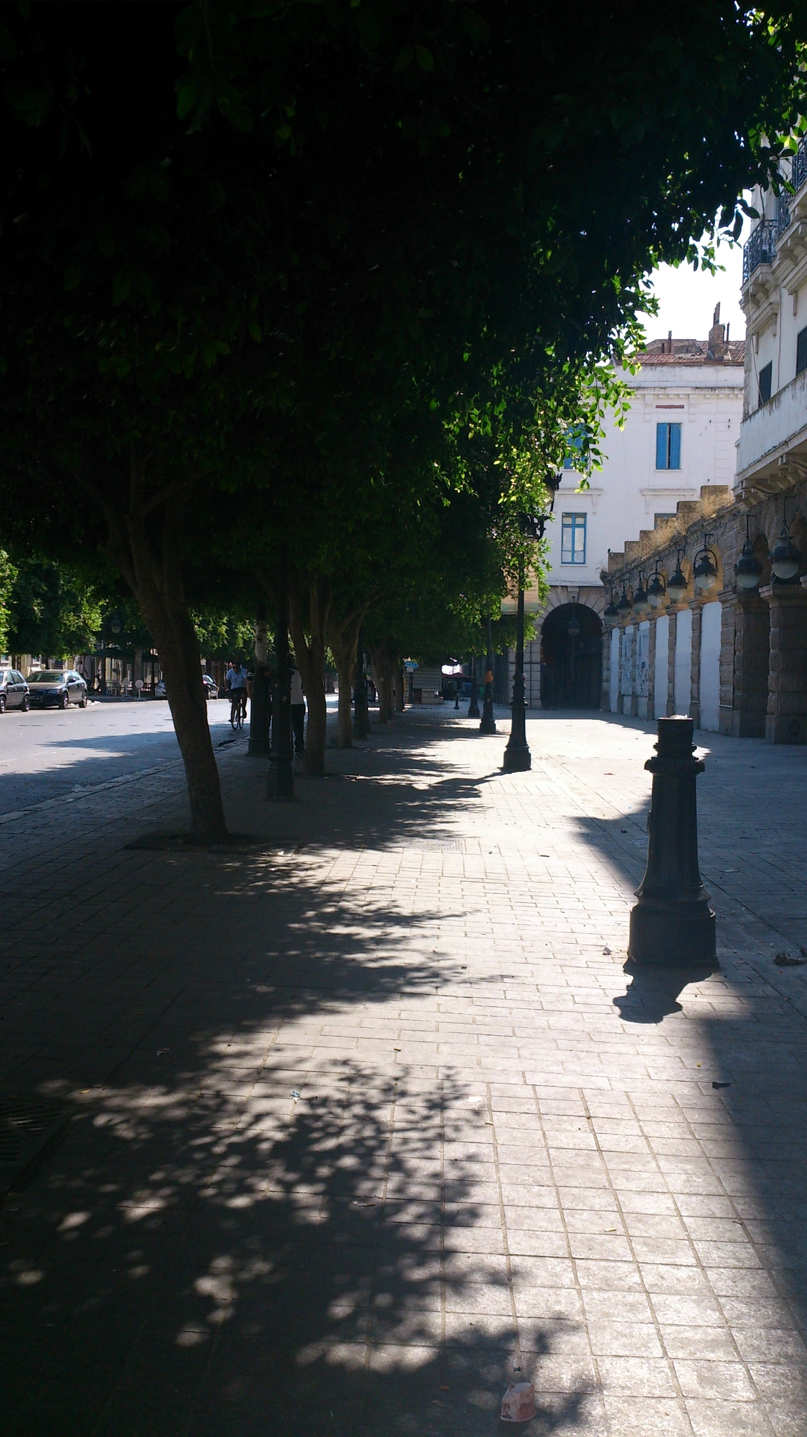 Sony Xperia V sample photo. 319.jpg photography