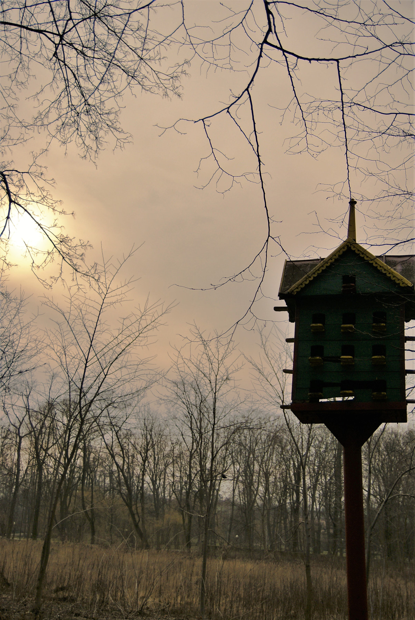 Sony Alpha DSLR-A300 sample photo. Bird house photography