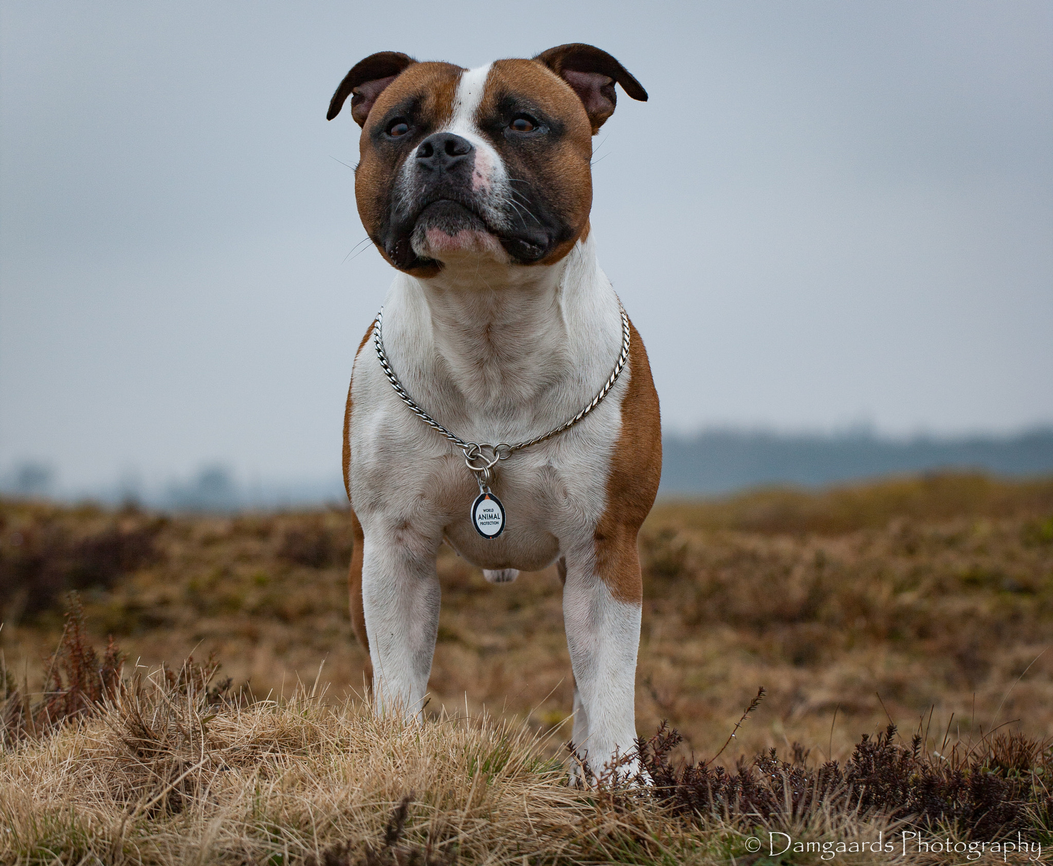 Canon EOS-1Ds Mark III sample photo. 5l0r8568.jpg photography