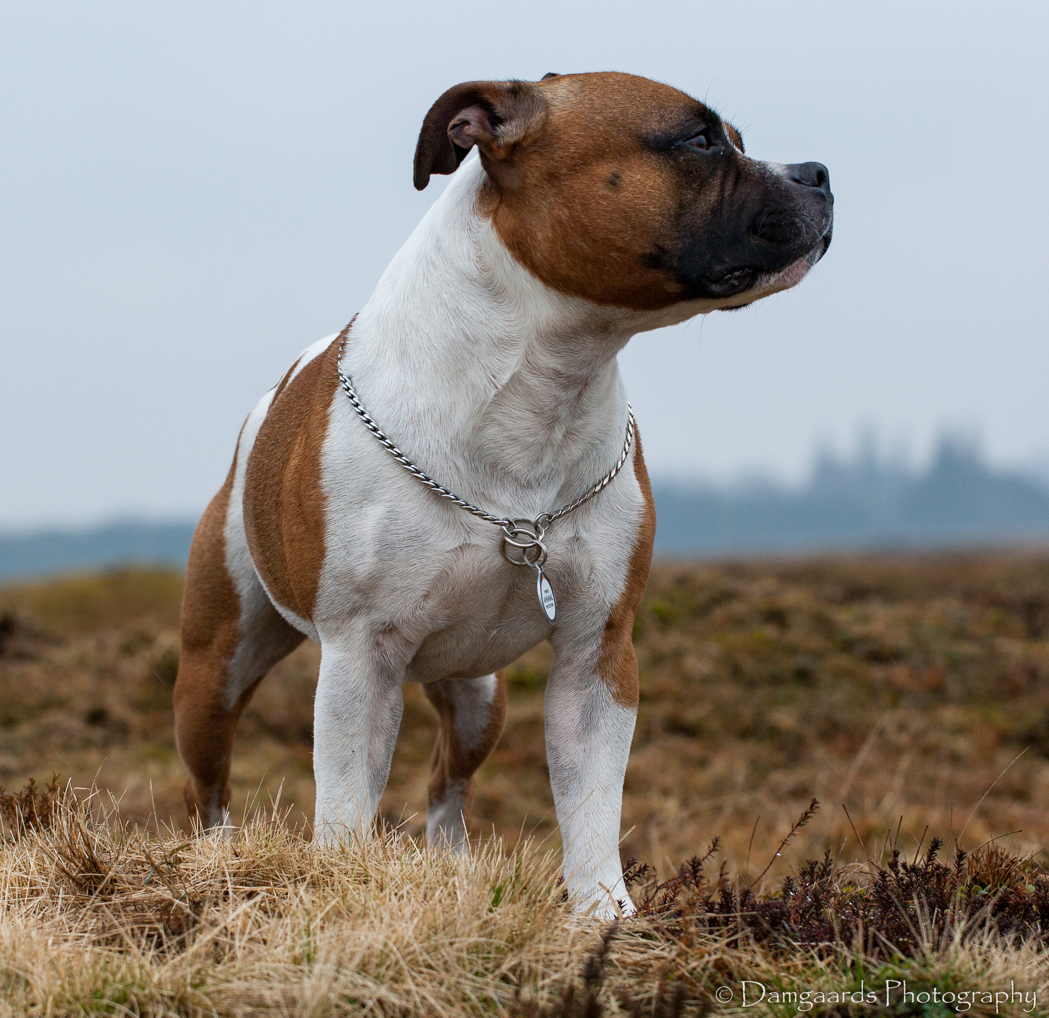Canon EOS-1Ds Mark III sample photo. 5l0r8569.jpg photography