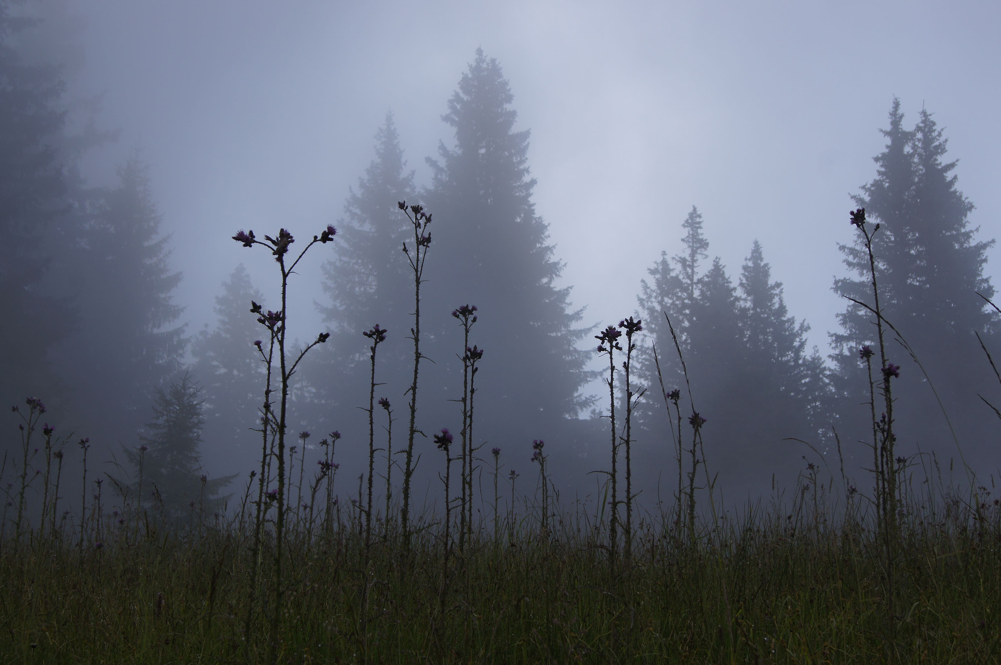 Sony DT 18-55mm F3.5-5.6 SAM sample photo. Berchtesgaden alps photography