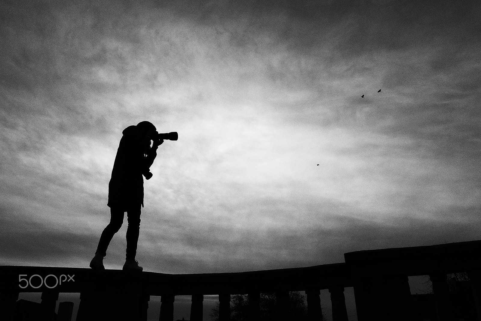 Nikon 1 V3 sample photo. The photographer photography