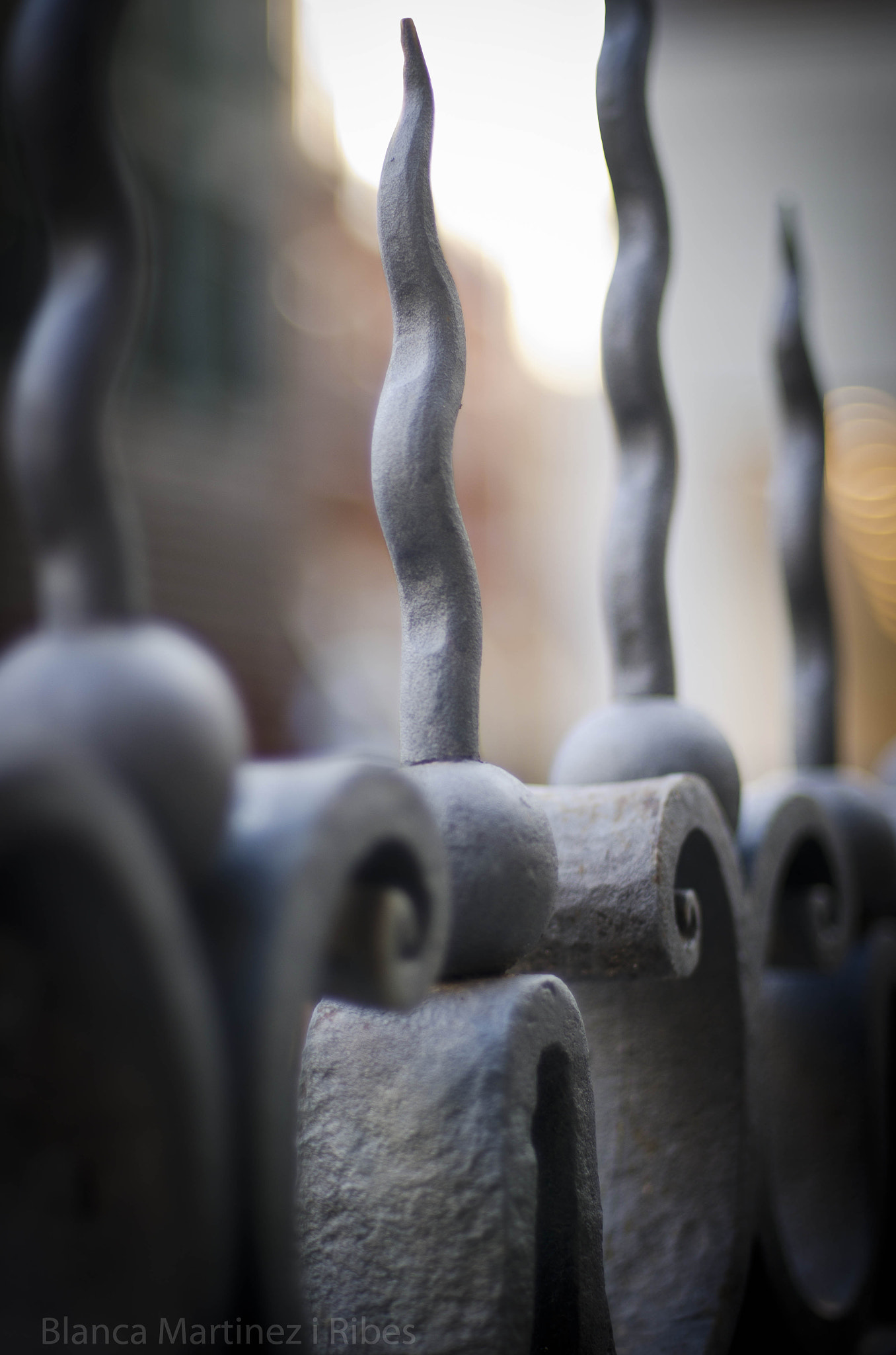 Nikon D7000 + AF Nikkor 50mm f/1.4 sample photo. Mm passeig photography