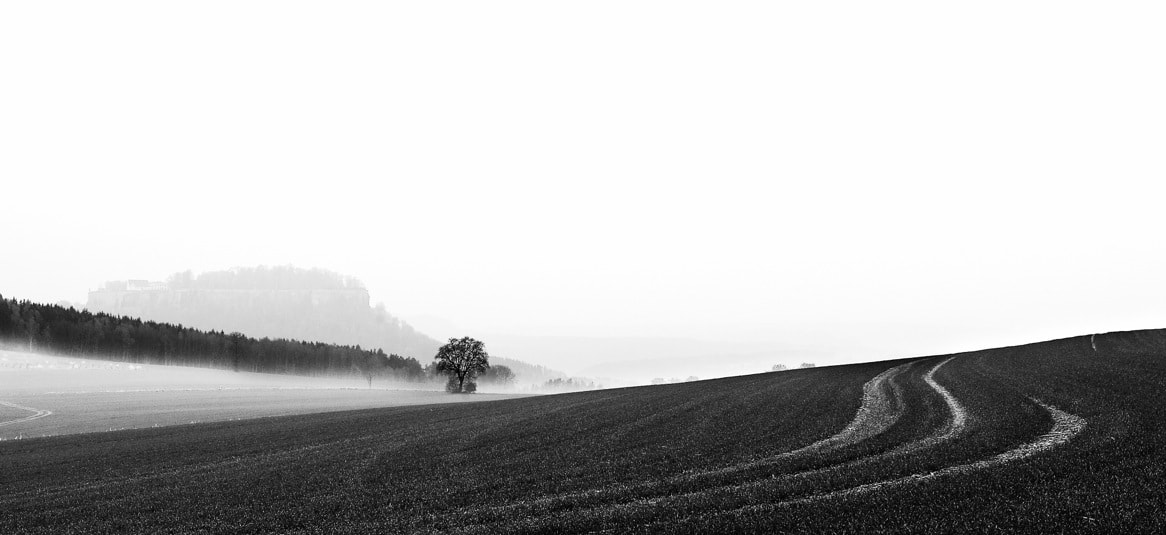 Canon EOS-1D Mark III sample photo. Königstein photography