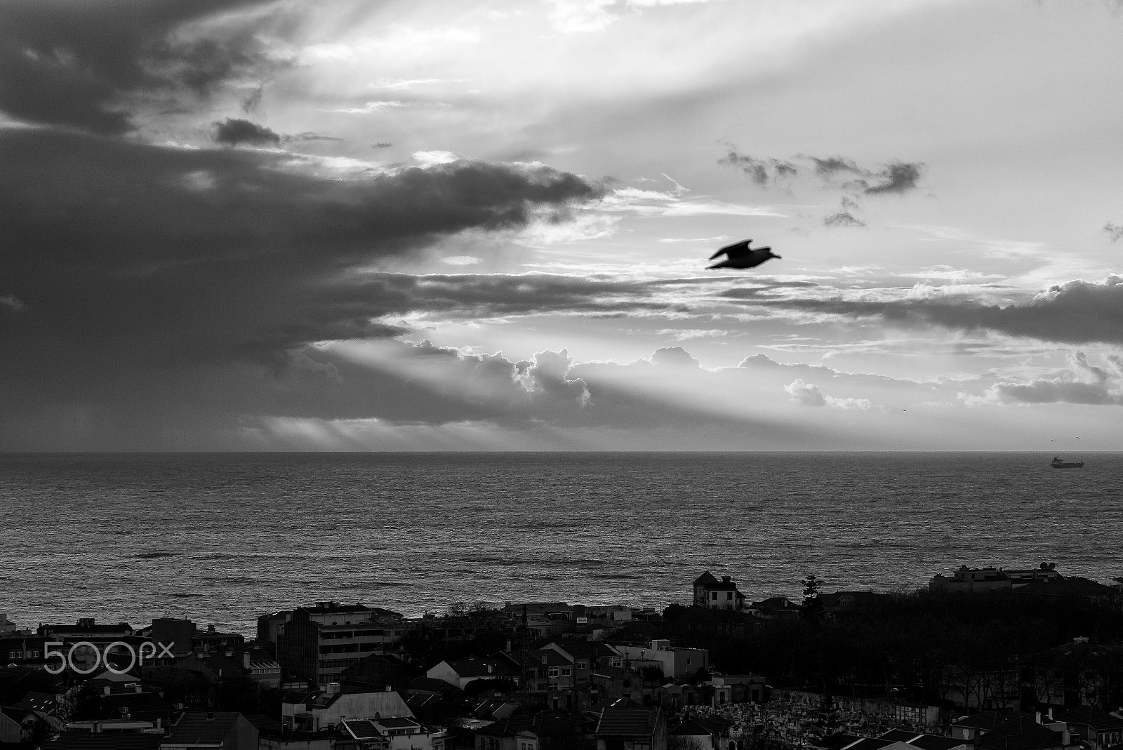 Leica APO-Summicron-M 75mm F2 ASPH sample photo. From my balcony... photography