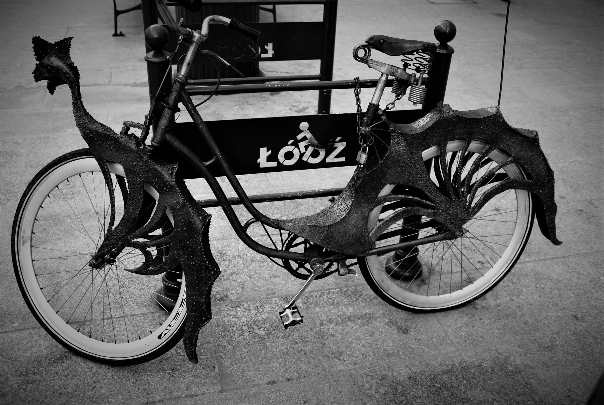Sony Alpha DSLR-A300 sample photo. Dragonflower bike photography
