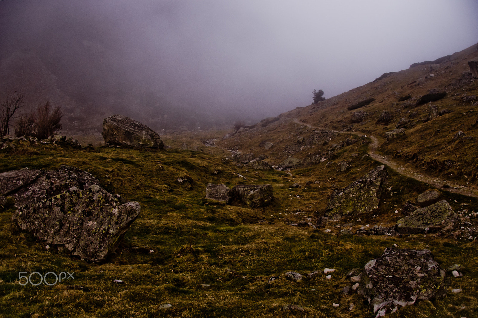 Nikon D50 sample photo. Pink mist, the path is winding photography
