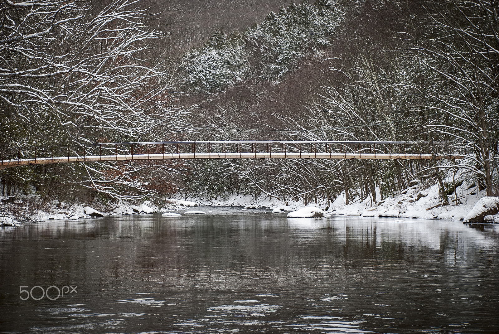 Nikon D40X sample photo. Beebrookbridge photography