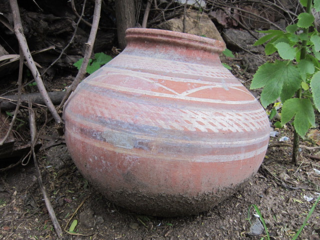 Canon PowerShot A3200 IS sample photo. Pot spoted over my eye. photography