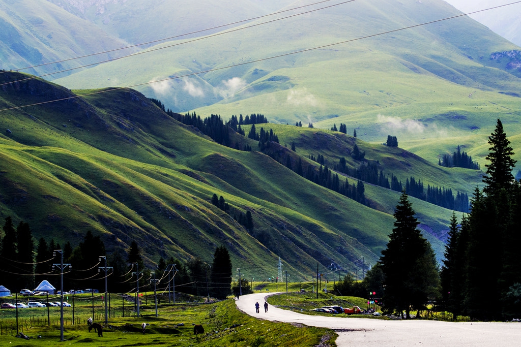 Olympus PEN E-PL5 + OLYMPUS M.75-300mm F4.8-6.7 sample photo. Yili,xinjiang photography