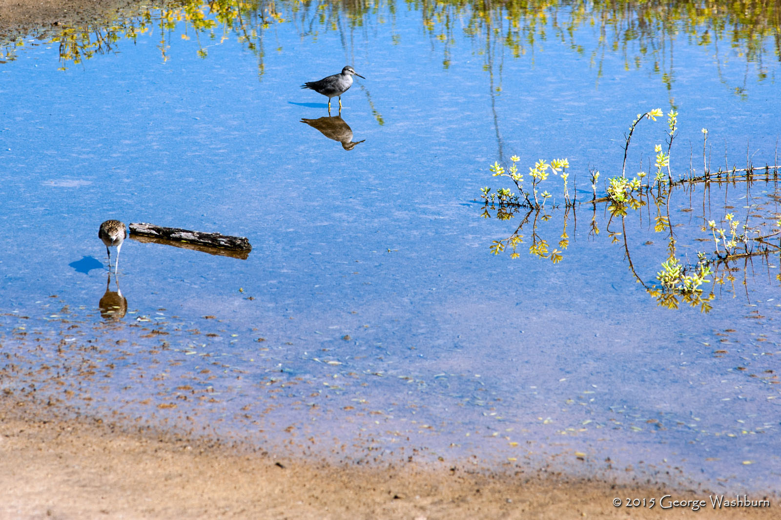 Nikon D700 + Nikon AF Nikkor 180mm F2.8D ED-IF sample photo. Kealia national wildlife refuge photography