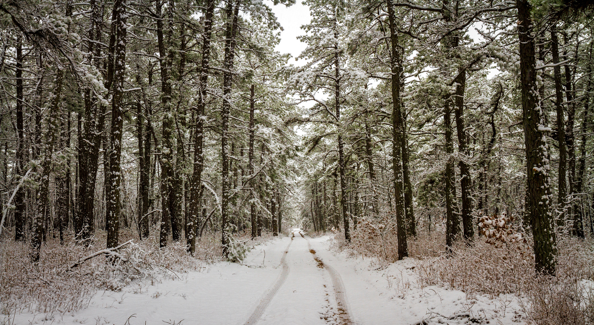Canon EOS 7D + Sigma 20mm F1.4 DG HSM Art sample photo. The road less traveled photography